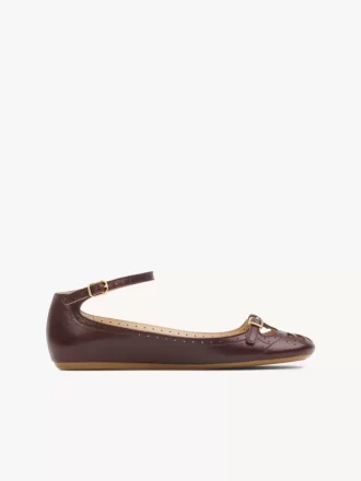 Ballerine brumeuse