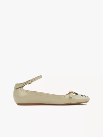 Ballerine brumeuse