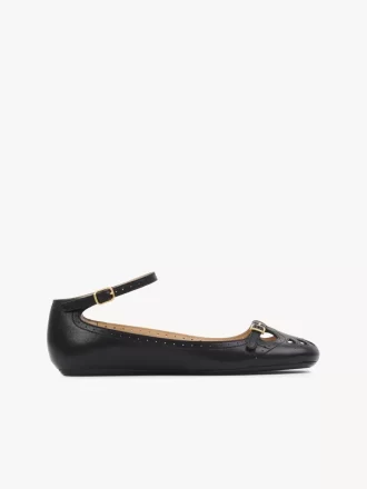 Ballerine brumeuse