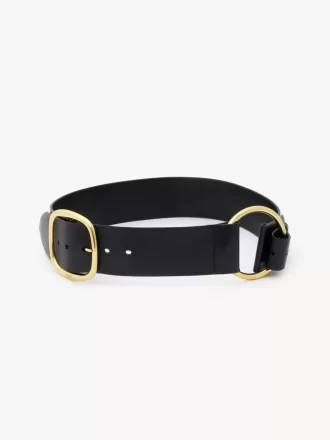 La ceinture Chloé Anita