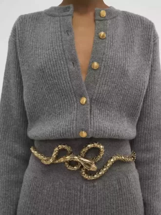 La ceinture Chloé Snake