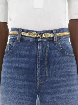 La ceinture Chloé Snake