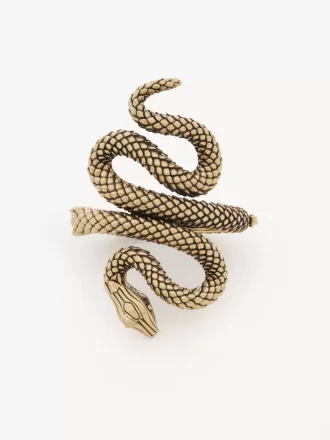 Le bracelet Chloé Snake