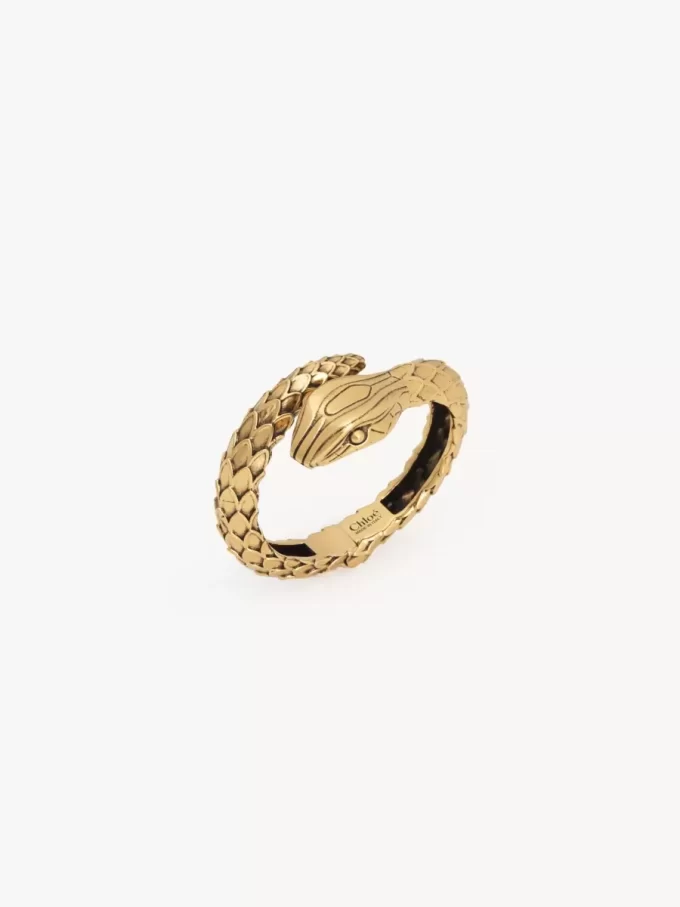 Le bracelet Chloé Snake