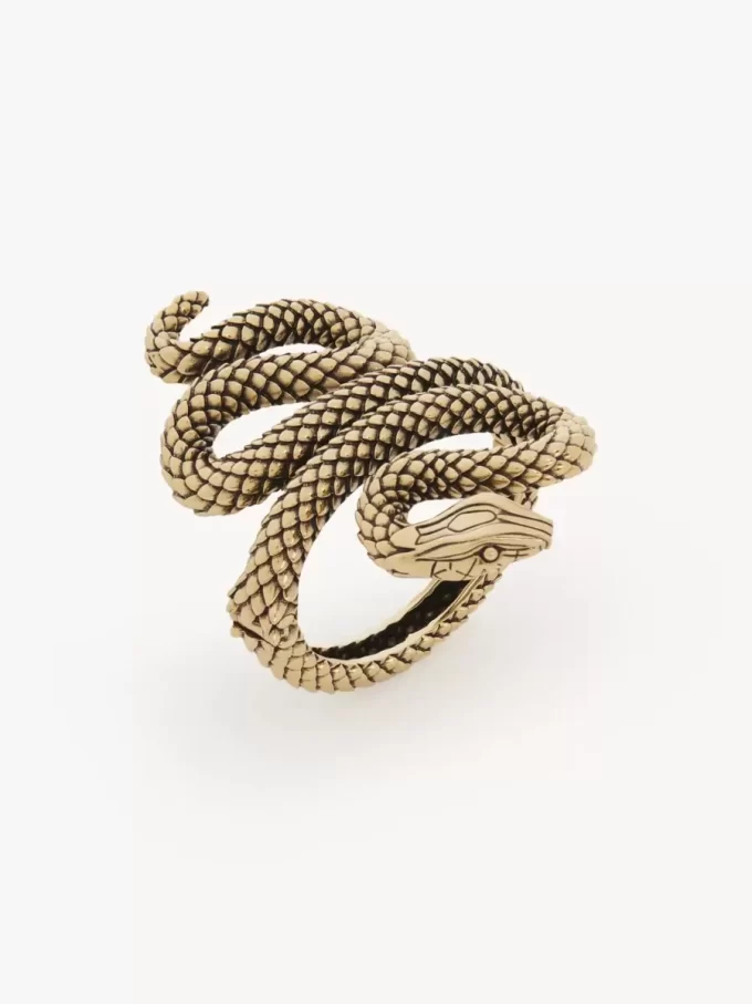 Le bracelet Chloé Snake