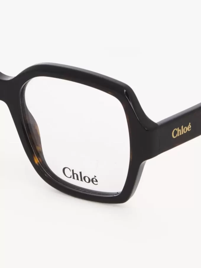 Lunettes Gayia