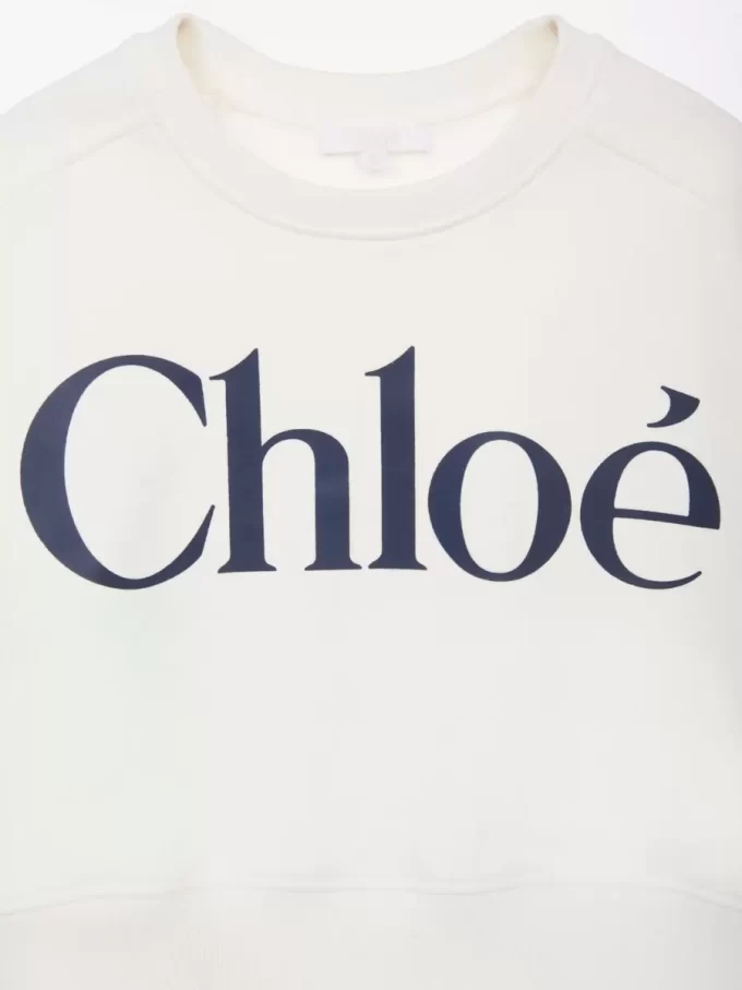 Pull avec logo